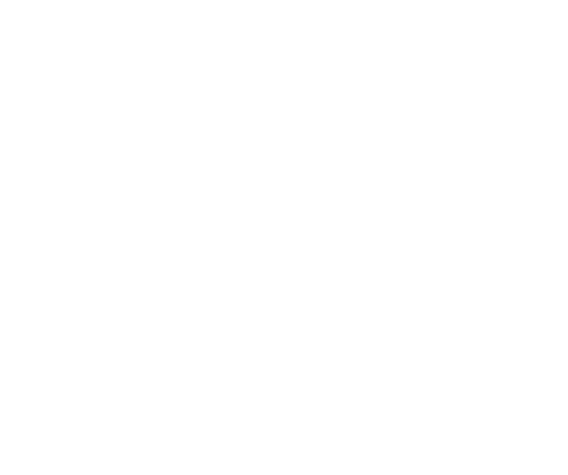 phoenix-bike-estampe-blanc-512
